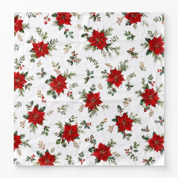 Poinsettia